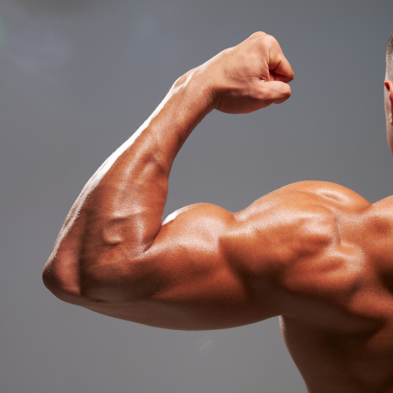 emsculpt in washington dc for biceps